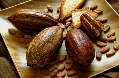 Kakaonun zararları nelerdir