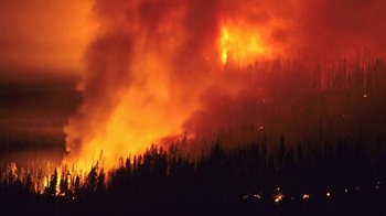 Orman yangınlarının nedenleri