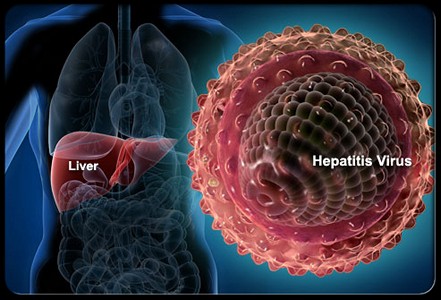 hepatit virüsünün zararları