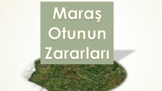 Maraş Otunun Zararları