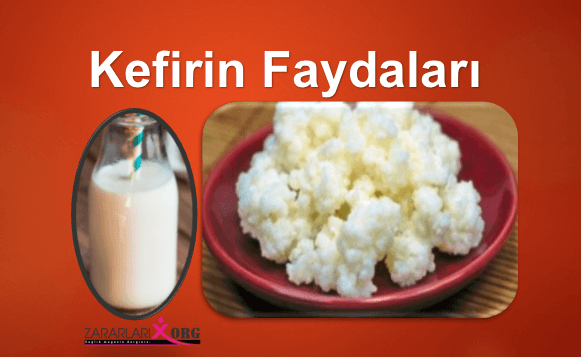 Photo of Kefirin Faydaları
